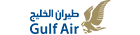 airline logotype