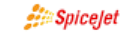 airline logotype